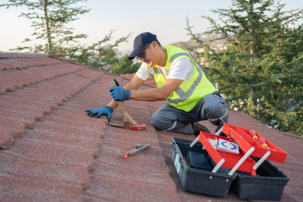 Best Metal Roofing Contractor  in Landis, NC