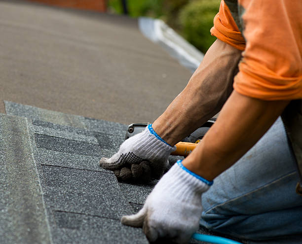 Best Metal Roofing Contractor  in Landis, NC