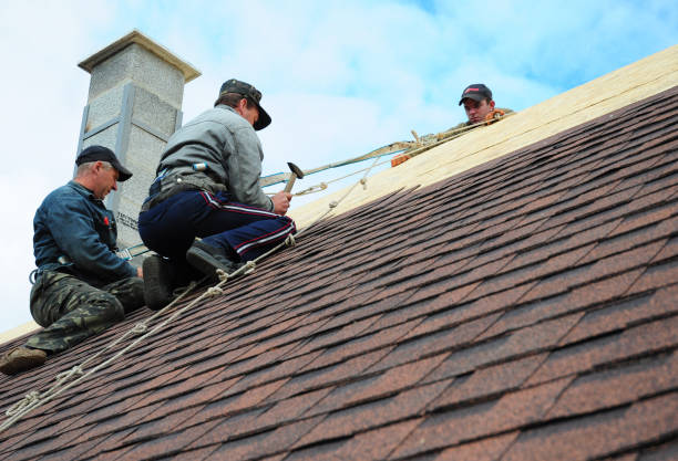 Best Residential Roofing Contractor  in Landis, NC